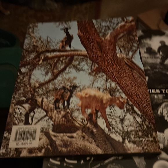 Life Book - Picture 3 of 3